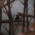 IMG_1201286
