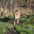 IMG_1201299