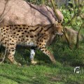 IMG_1201300