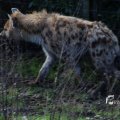 IMG_1201316