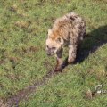 IMG_1201318