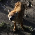 IMG_1201319
