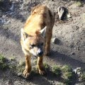 IMG_1201324