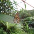IMG_1201348
