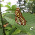 IMG_1201351
