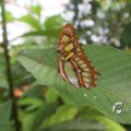 IMG_1201352