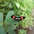 IMG_1201356