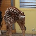 IMG_1201369