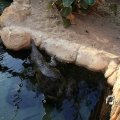 IMG_1201386
