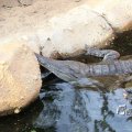 IMG_1201396