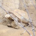 IMG_1201401