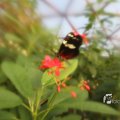IMG_1201408
