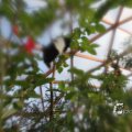 IMG_1201423