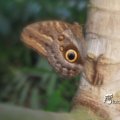 IMG_1201454