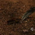 IMG_1201484