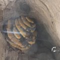 IMG_1201584