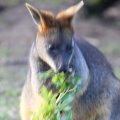 IMG_1201592