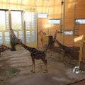 IMG_1201605