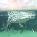 IMG_1201673