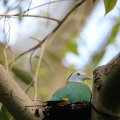 IMG_1201719