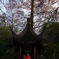 IMG_1201788