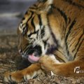 IMG_1201825