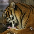 IMG_1201832