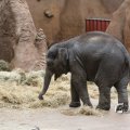 IMG_1201859