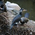 IMG_1201978
