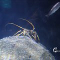 IMG_1202120