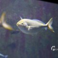 IMG_1202125