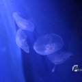 IMG_1202128