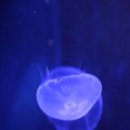IMG_1202141