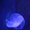 IMG_1202142