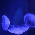 IMG_1202143