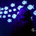 IMG_1202215