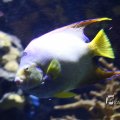 IMG_1202264