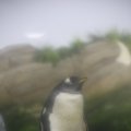 IMG_1202340