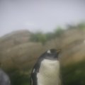 IMG_1202342