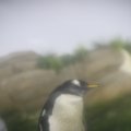 IMG_1202343