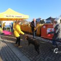 IMG_1203478
