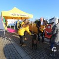 IMG_1203479