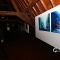 IMG_1203713