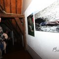 IMG_1203739