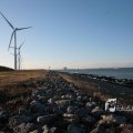 IMG_1205431