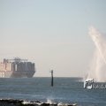IMG_1205435