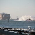 IMG_1205436
