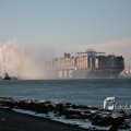 IMG_1205485