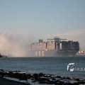 IMG_1205486