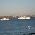 IMG_1205494